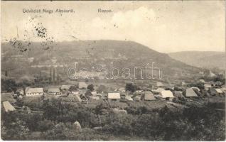 1911 Nagyalmás, Almasu Mare; Roppo. Kabát Emil kiadása / general view (EK)