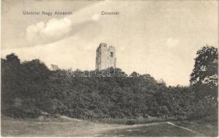 1911 Nagyalmás, Almasu Mare; Dezső vár romjai. Kabát Emil kiadása / castle ruins (fa)