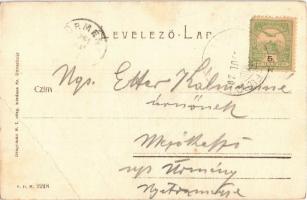 1904 Tusnádfürdő, Baile Tusnad; Apor bástya, Sólyomkő. Dragomán S. I. kiadása / Turnul (Bastionul) A...