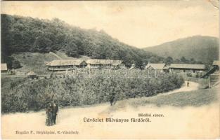 1908 Bálványosfürdő, Baile Balvanyos (Torja, Turia); Büdösi rész, fürdő, forrás. Bogdán F. fényképész / spa, bath, spring source (fl)