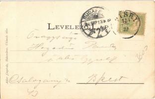 1904 Piski, Simeria; Szabadság szobor. Adler fényirda / Liberty statue, monument