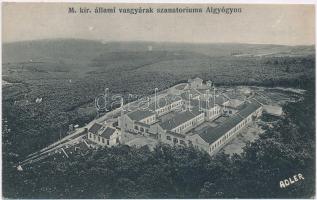 1914 Algyógy, Geoagiu; M. kir. állami vasgyárak szanatóriuma. Adler fényirda / sanatorium of the iron works