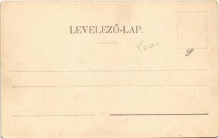 Temesvár, Timisoara; Béga-parti részlet, Erzsébet gőzmalom. Káldor Zs. és Társa kiadása / Bega river...