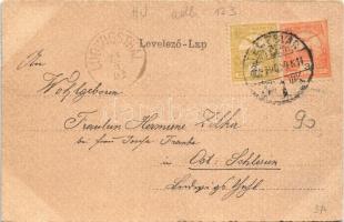 1902 Temesvár, Timisoara; Dóm tér. Szecessziós címeres litho keret / Cathedral Square. Art Nouveau, ...