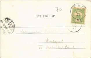 1904 Érd, látkép, kastély. Stigler Testvérek kiadása (EK)