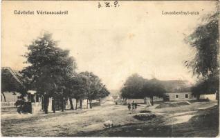 1916 Vértesacsa, Lovasberényi utca (fl)