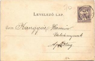 1901 Budapest XX. Pestszenterzsébet, Pesterzsébet, Erzsébetfalva; Melania villa (r)