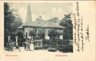 1901 Budapest XX. Pestszenterzsébet, Pesterzsébet, Erzsébetfalva; Scholtz villa (EK)