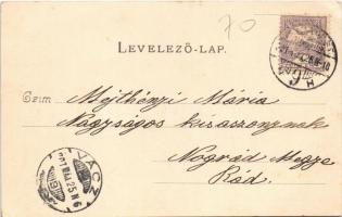 1901 Budapest XX. Pestszenterzsébet, Pesterzsébet, Erzsébetfalva; Scholtz villa (EK)