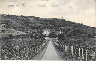 1911 Versec, Vrsac; Zárda nyaraló, szőlőskert / vineyards, nunnerys villa