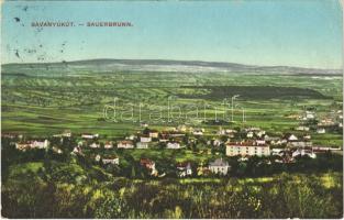 1919 Savanyúkút, Bad Sauerbrunn;