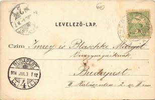 1904 Budapest XX. Pestszenterzsébet, Pesterzsébet, Erzsébetfalva; látkép. Havasy Ferenc kiadása (EK)