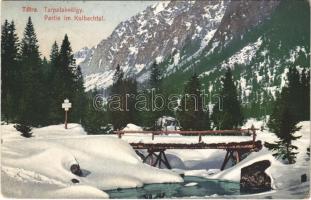 1908 Tátra, Magas-Tátra, Vysoké Tatry; Tarpatak-völgy télen, híd. Cattarino S. kiadása 231. sz. / Partie im Kohlbachtal / valley in winter, bridge (EB)