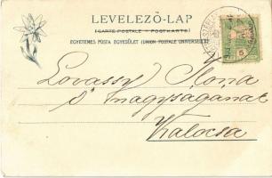 1903 Tátra, Magas-Tátra, Vysoké Tatry; Tarpatak nagy vízesés, fahíd. Feitzinger Ede 1902/12. 491. / ...