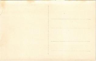 Selmecbánya, Schemnitz, Banská Stiavnica; látkép / general view. photo