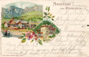 1899 Govora Litho (EB)