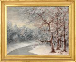 Mille jelzéssel: Téli táj. Olaj, vászon. Kopott fa keretben. 40x50 cm