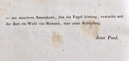 Széchényi István, gróf [1791-1860]: Világ, vagy is felvilágosító töredékek némi hiba 's előítél...