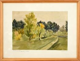 Kukla Mátyás (1928-): Gödöllői Erzsébet park, 1956. Akvarell, papír, jelzett. Üvegezett fa keretben. 21x30cm