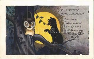 1924 "A Happy Halloween! Beware! Take care! For ghosts are seen on Halloween" Halloween greeting art postcard with black cat and owl  (EK)