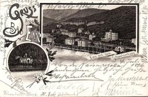 1896 Bad Ems Litho (EK)