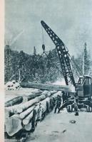 Rudolf Luskac: Végtelen vadászmezőkön. Fordította Hubik István. Bp., 1957, Bibliotheca. Kiadói egész...