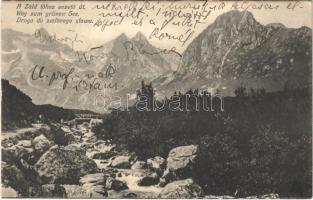 1910 Tátra, Magas-Tátra, Vysoké Tatry; A Zöld-tóhoz vezető út / Weg zum grünen See / Droga do zielonego stawu / road to the lake