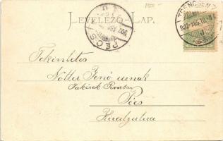 1902 Trencsén, Trencín; látkép. Gansel Lipót 12. / general view (fl)
