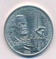 Peternák Gusztáv (1928-) 1982. "Bartók Béla 1881-1981 / Kodály Zoltán 1882-1982" Ag emléké...