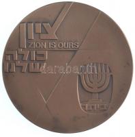 Izrael 1980. "Ze'ev Jabotinsky" kétoldalas Br emlékérem, peremen sorszám "4293&q...