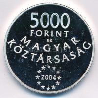 2004. 5000Ft Ag "Magyarország az Európai Unió tagja" tanúsítvánnyal T:PP 
Adamo EM190