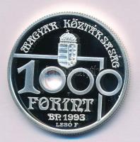 1993. 1000Ft Ag "Labdarúgó VB - Vetődő kapus" T:PP
Adamo EM132