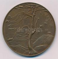 Kiss Nagy András (1930-1997) DN "Csontváry Tivadar" Br emlékérem (60mm) T:1-,2