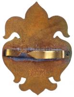 ~1920-1930. "Esztergomi Ferences Gimnázium" zománcozott Br sapkajelvény (39x30mm) T:2,2- z...