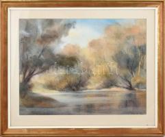 Blaskó János (1919-1988): Dunai holtág. Akvarell, papír, jelzett. Hátoldalán Képcsarnok Vállalat cím...