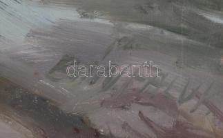 Bánfalvy Ákos (1943-): Napos utca. Olaj, farost, jelzett. Hátoldalán Budavár Galéria címkéjével. Fa ...