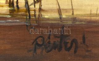 Olvashatatlan (Pintér?) jelzéssel: Hajnali fény. Olaj, farost. Hátoldalán Budavár Galéria címkéjével...