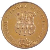1989. "Temesvár 1514,1989 / Ne hagyd el Erdélyt, Erdélyt Istenem" aranyozott fém emlékérem...