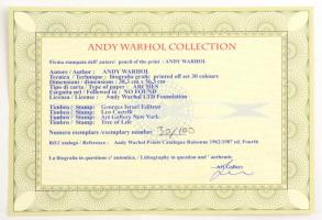 Andy Warhol (1928-1987): Arc  - Karen Kain kanadai balerina. Litográfia, papír. Sorszámozott 30/100 ...