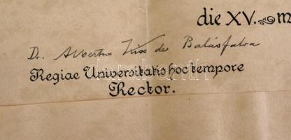 1934 Ferenc József Tudományegyetem jogász diploma (szakadással) magyar címeres viaszpecsét fa tokban...