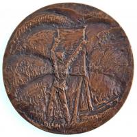 Kunvári Lilla (1897-1984) 1980. "Egry József - 1883-1951" Br emlékérem (125mm) T:1-