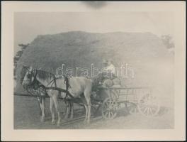 cca 1920-1930 Lovaskocsival szénakazal előtt, fotó, 12×9 cm