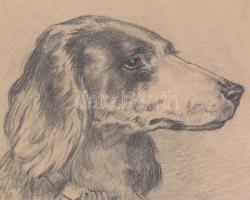 1875-ös egészvászon borító, néhány grafikával: 1 db akvarell, 1 db kutya fej rajz, 1 db csendélet ce...