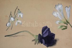 1875-ös egészvászon borító, néhány grafikával: 1 db akvarell, 1 db kutya fej rajz, 1 db csendélet ce...