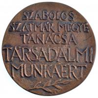 Tóth Sándor (1933-) DN "Szabolcs-Szatmár Megye Tanácsa társadalmi munkáért" Br emlékplaket...
