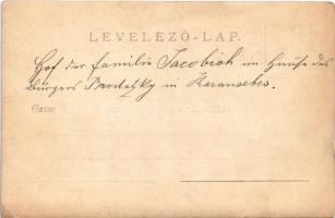 Karánsebes, Caransebes; családi kép a kertből / family in the garden. photo (EK)