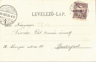 1900 Ladies in a snowball fight