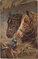 Horses with pigeon, art postcard.