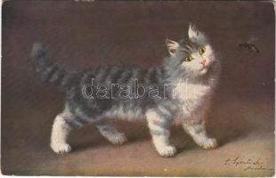 Cat art postcard. T.S.N. Serie 1843. (6 Dess.) s: Sperlich (EK)