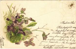 1899 Flowers with spider web. Edgar Schmidt Serie 7012. litho (EK)